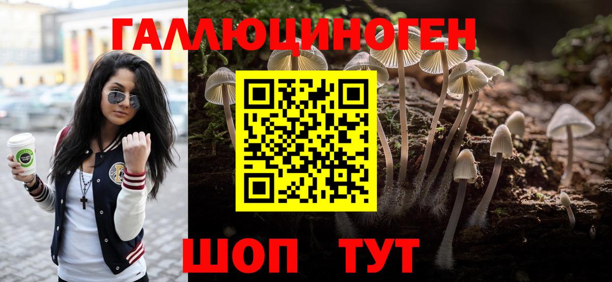 Псилоцибиновые грибы MAGIC MUSHROOMS  Вход с VPN  Алексин 